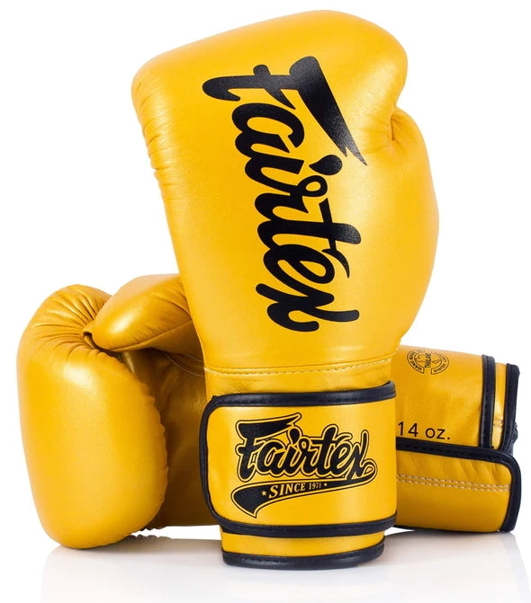 Fairtex BGV18 Boxing Gloves