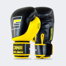 Combat Corner HMIT Boxing Gloves