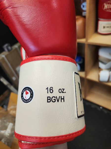 Windy BGVH Classic Leather Glove