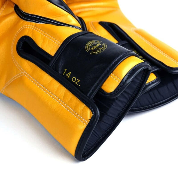 Fairtex BGV18 Boxing Gloves