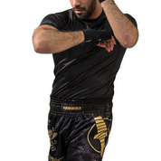 Hayabusa Falcon Muay Thai Shorts