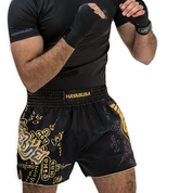 Hayabusa Falcon Muay Thai Shorts