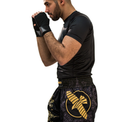 Hayabusa Falcon Muay Thai Shorts