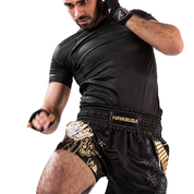 Hayabusa Falcon Muay Thai Shorts