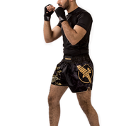 Hayabusa Falcon Muay Thai Shorts