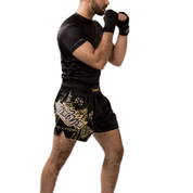 Hayabusa Falcon Muay Thai Shorts