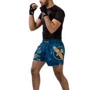 Hayabusa Falcon Muay Thai Shorts