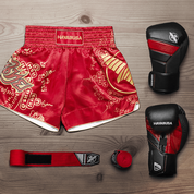 Hayabusa Falcon Muay Thai Shorts