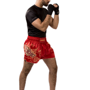 Hayabusa Falcon Muay Thai Shorts