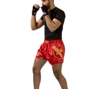 Hayabusa Falcon Muay Thai Shorts