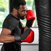 Hayabusa T3 Boxing Gloves
