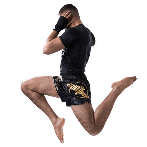 Hayabusa Falcon Muay Thai Shorts