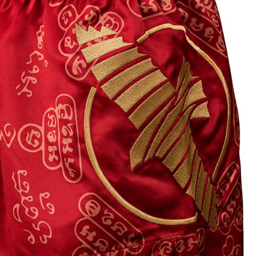 Hayabusa Falcon Muay Thai Shorts