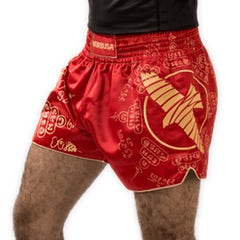 Hayabusa Falcon Muay Thai Shorts