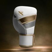 Hayabusa T3 Boxing Gloves