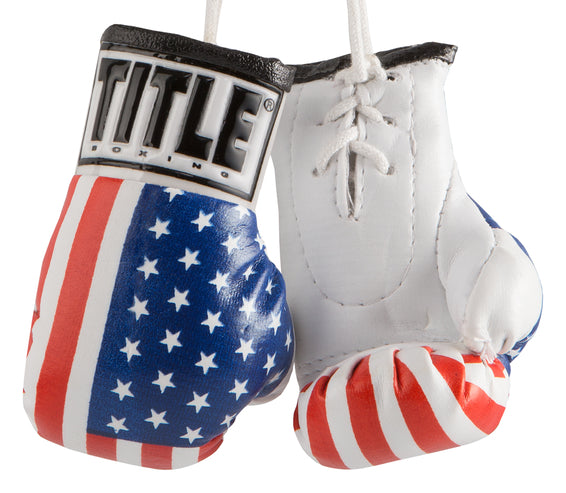 Title 3.5" Mini Boxing Gloves