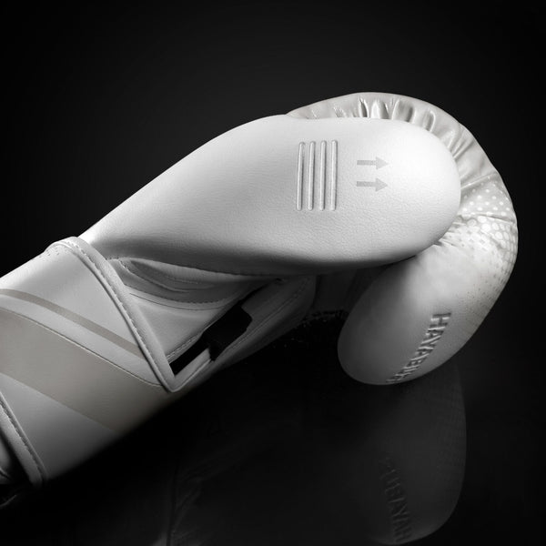 Hayabusa T3D Boxing Gloves