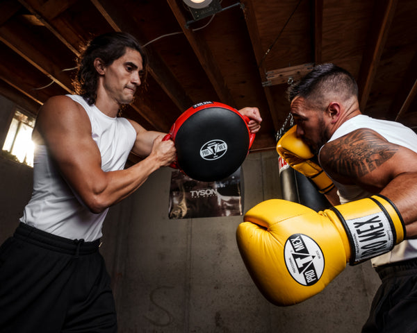 Pro Mex Accuracy Pro Punch Shield 2.0
