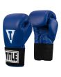 TITLE Masters USA Boxing Competition Gloves - Elastic