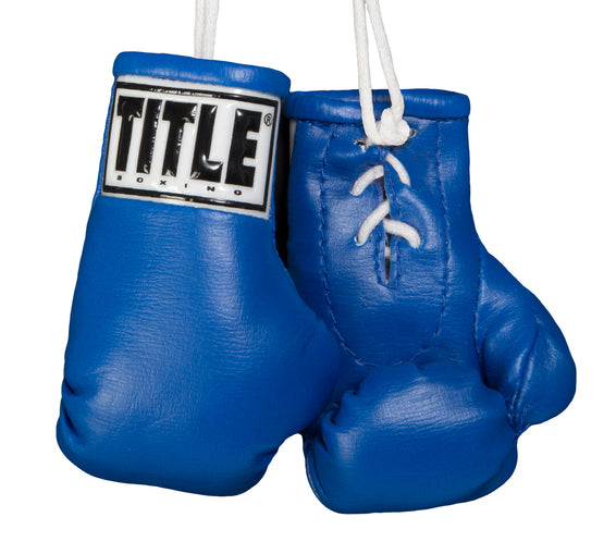 boxing equipment title focus mitts